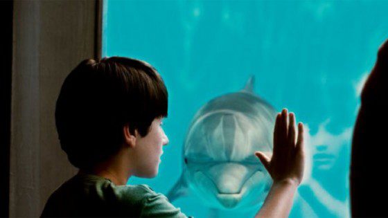 dolphin_tale_a_l
