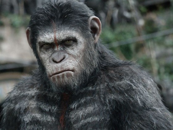 dawn-of-the-planet-of-the-apes-caesar-1
